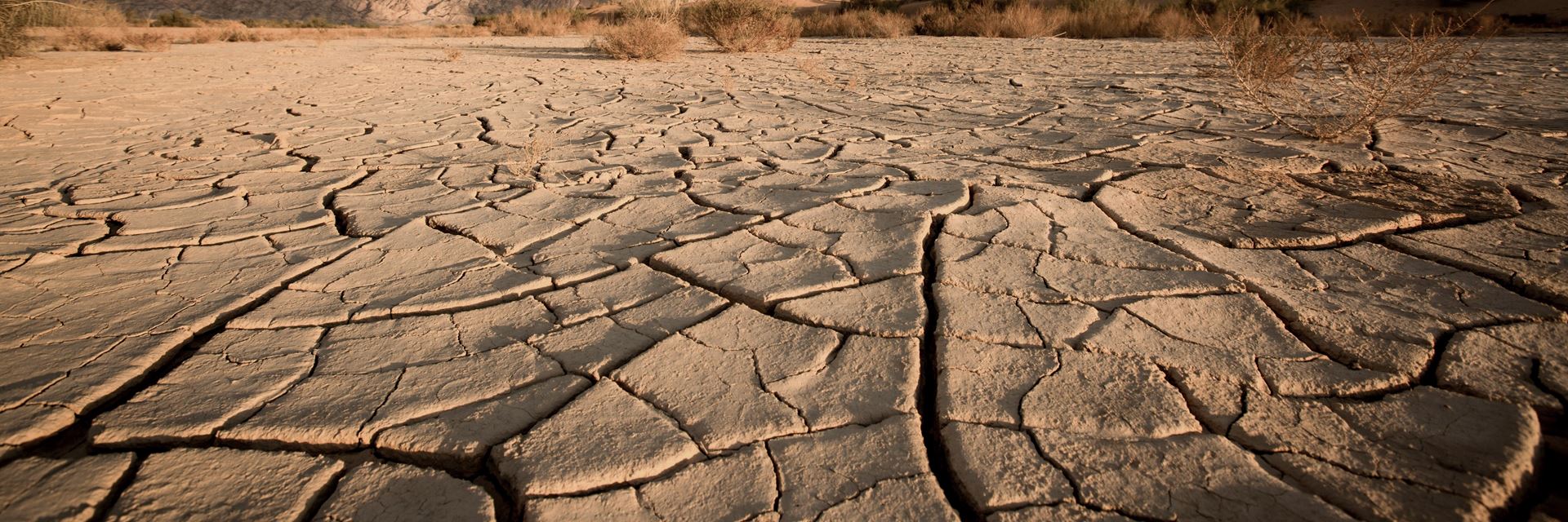 Parched ground in a desert