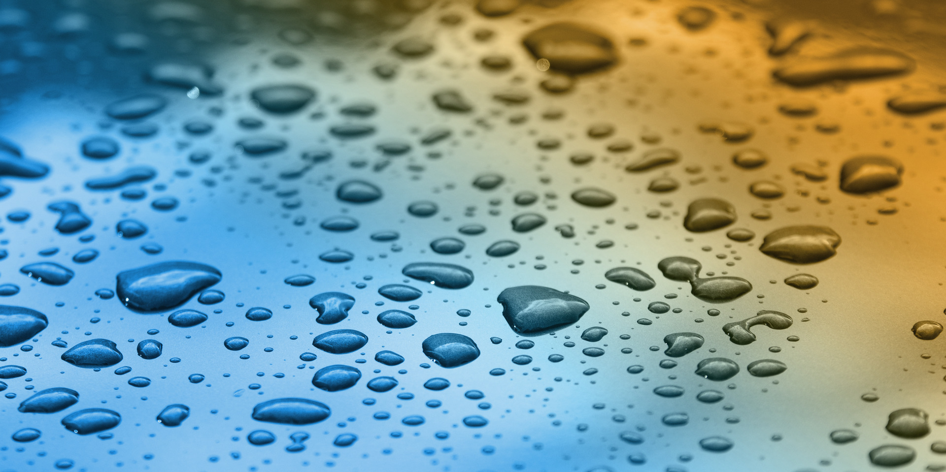 Water uptake