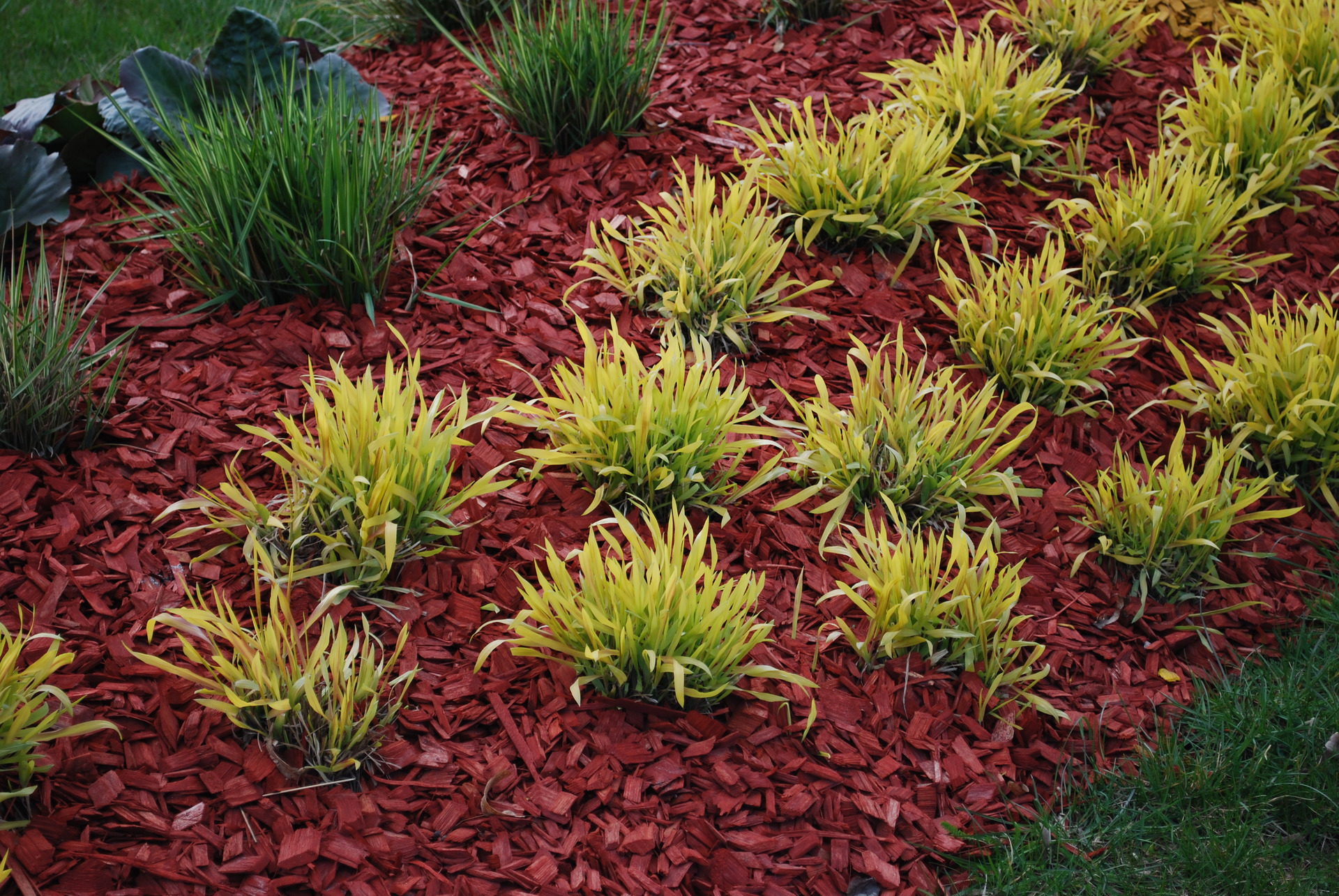 Mulch coloration with red iron oxide pigments