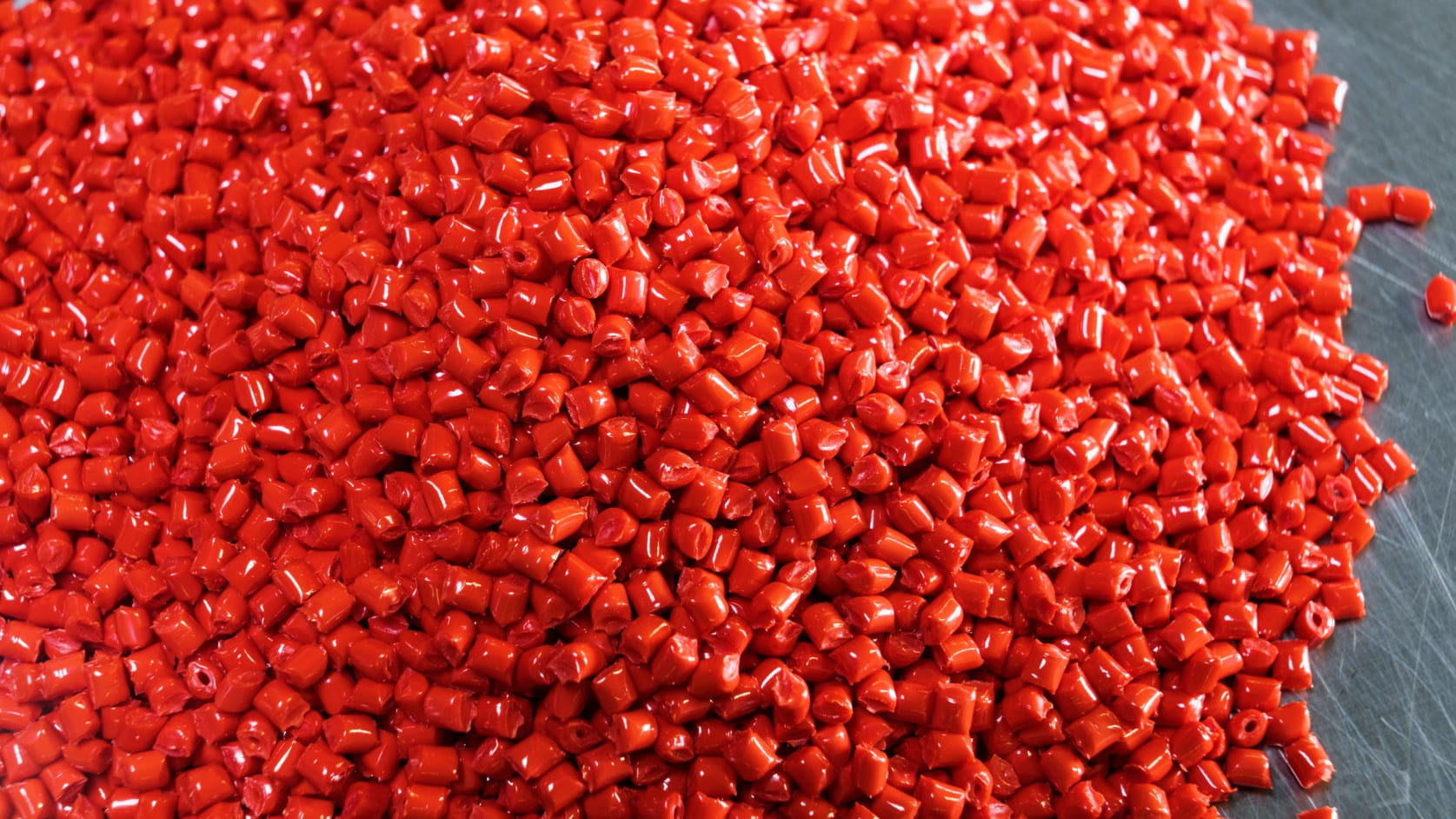 Red granules in the close-up