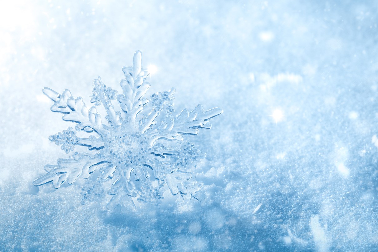 Winter snow background.Snowflake Closeup.
