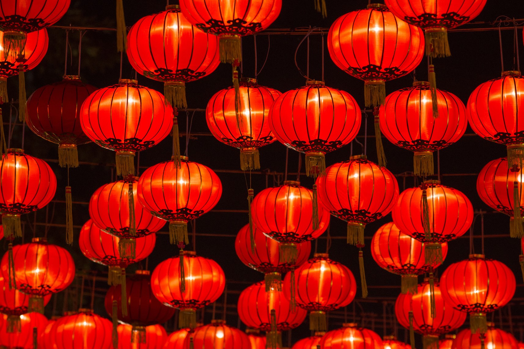 Red Lights
