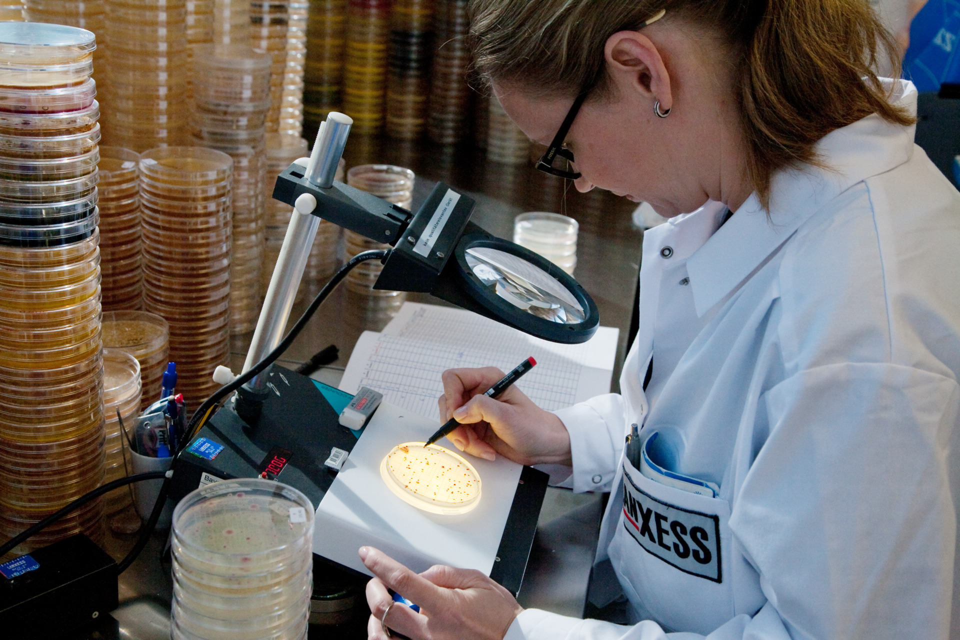 To determine the efficacy of biocidal products, different samples are examined under the microscope.
