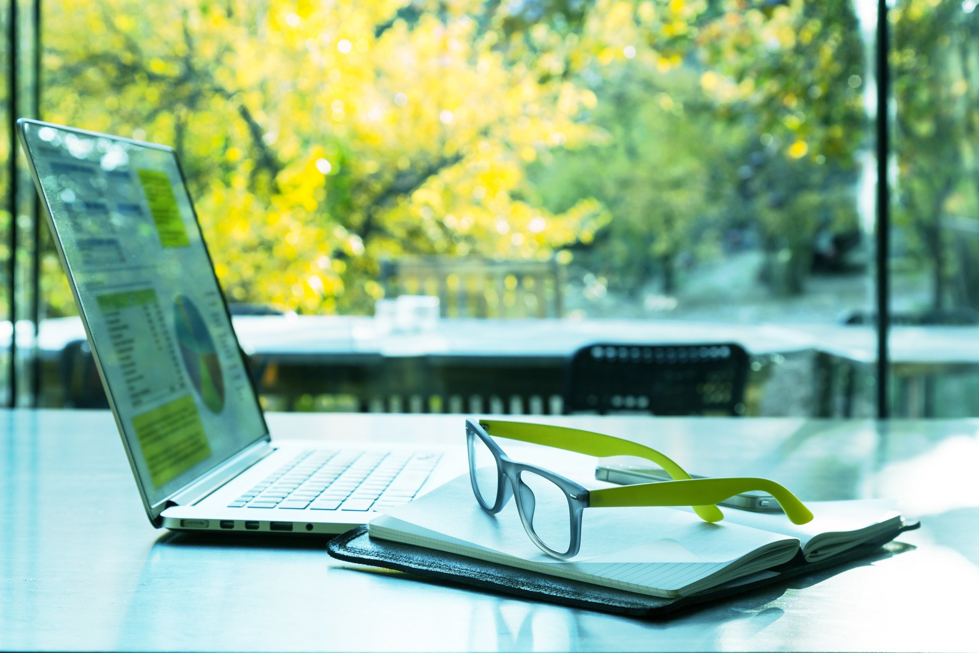 Internet Project Work at cozy Summer Location