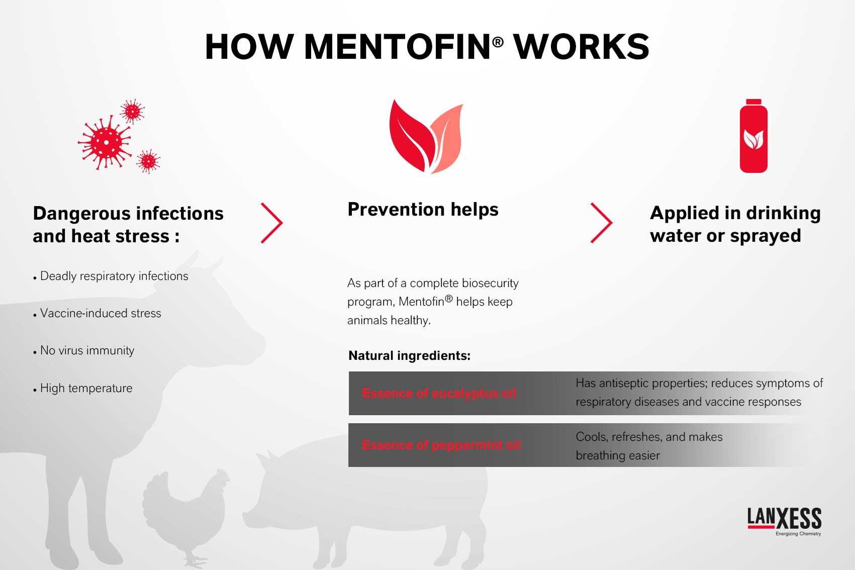 How Mentofin works