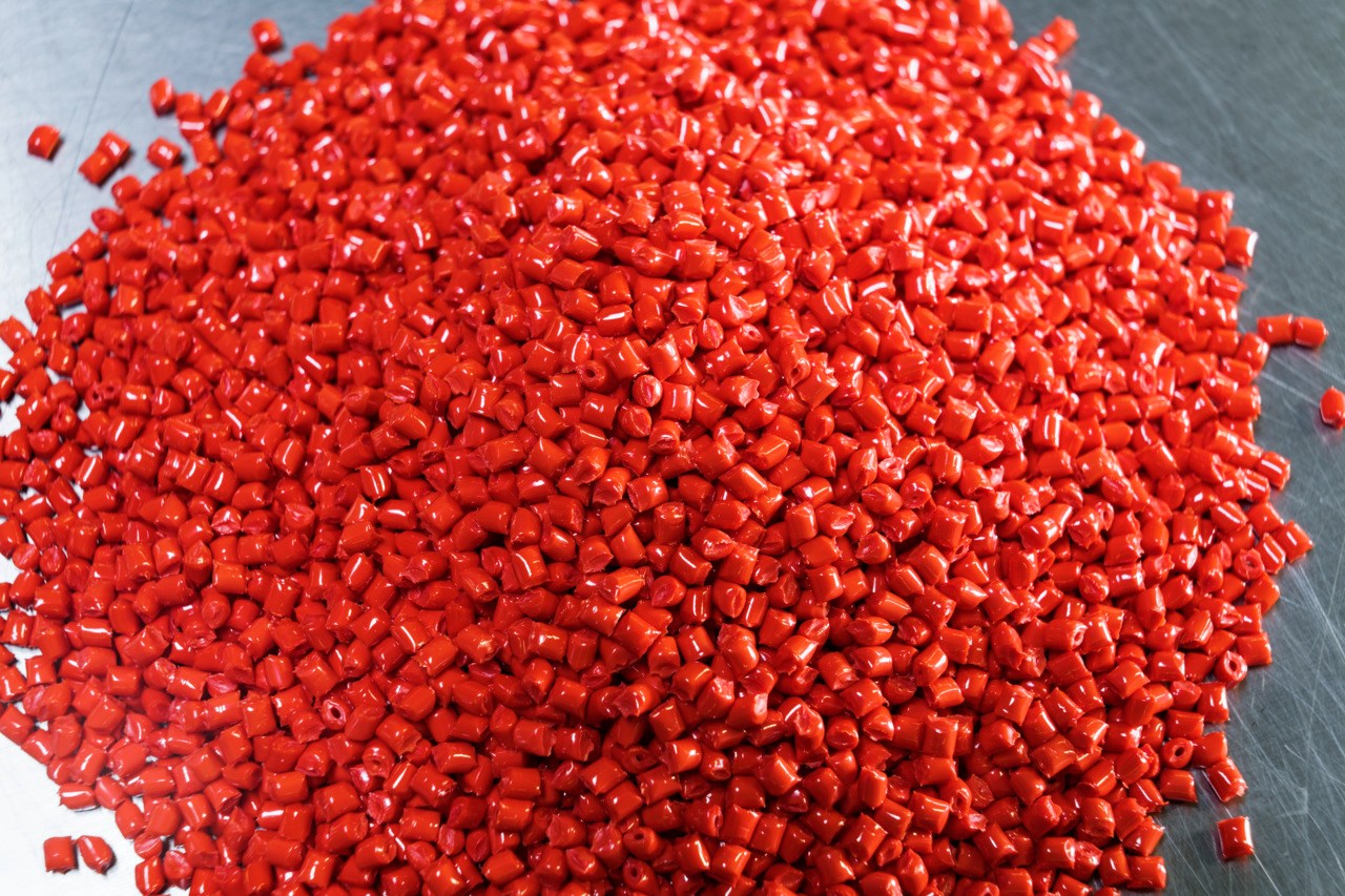 Red granules in the close-up