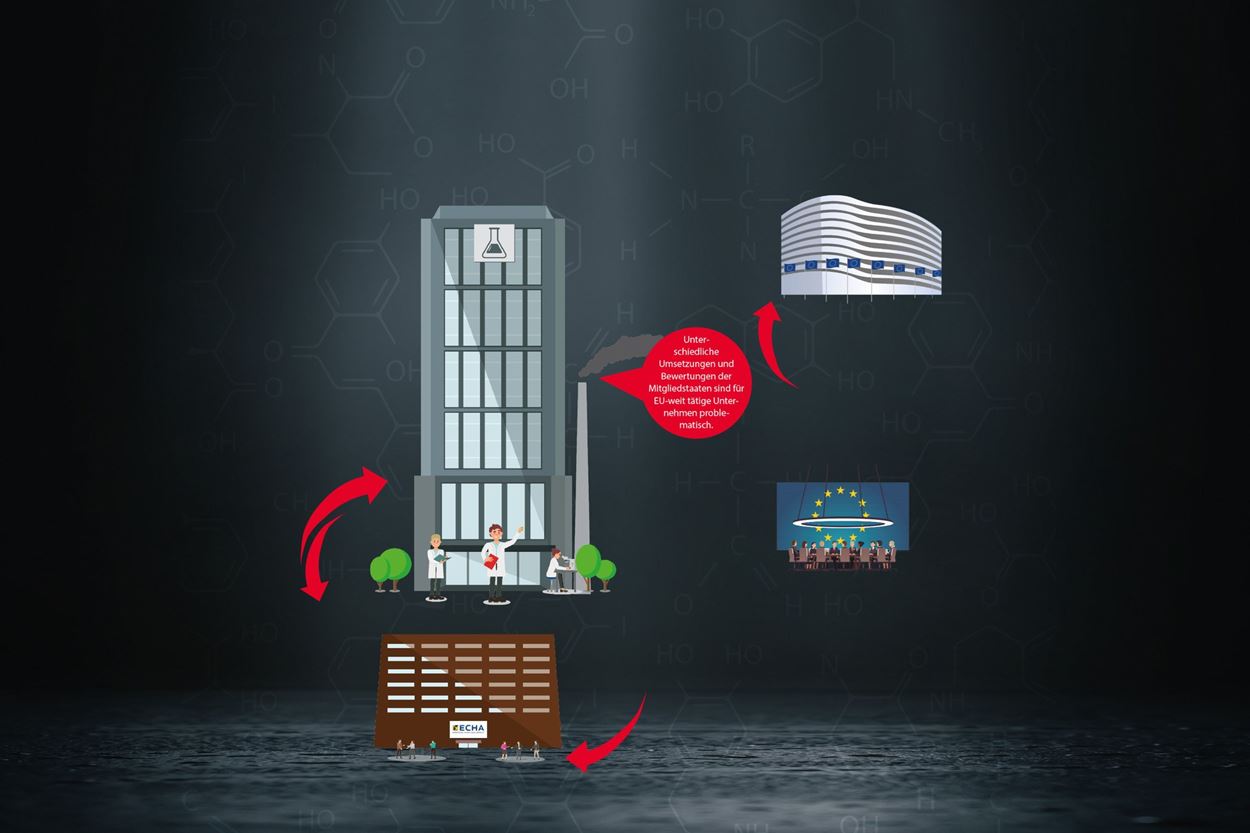 Graphics referring to ECHA / European Chemicals Policy