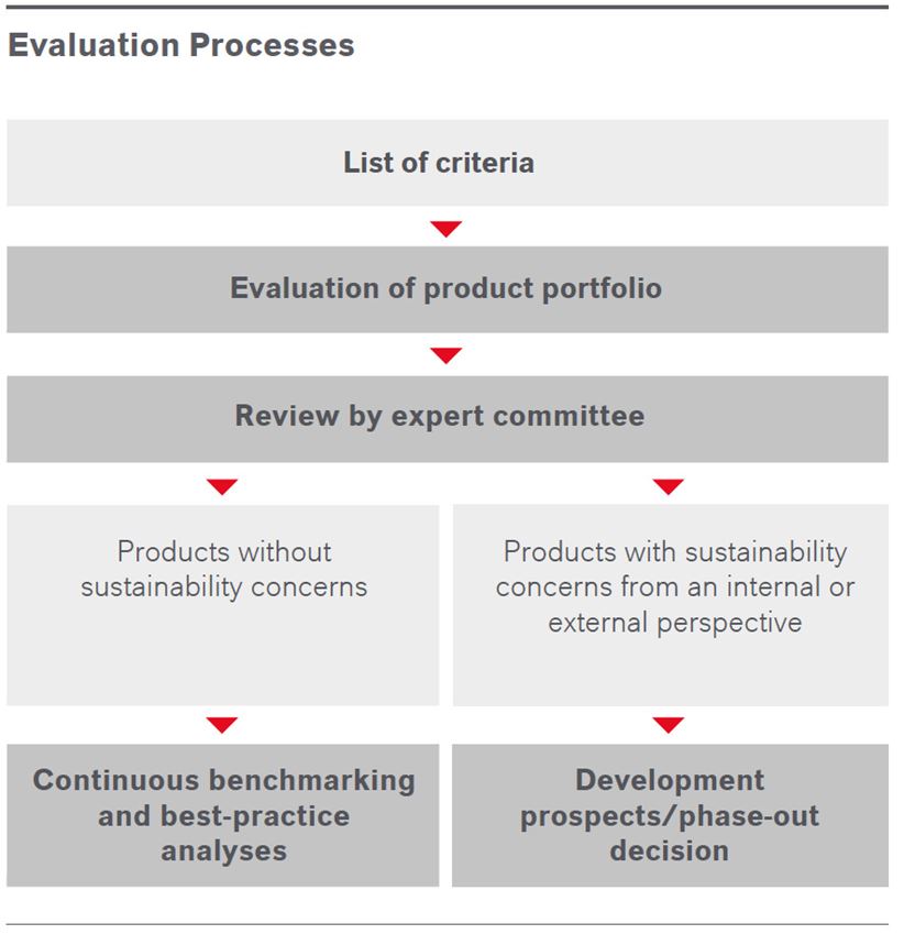 Evaluation processes Graphic of the annual report 2020