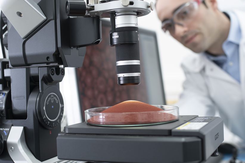 Scientists working with colour pigments under the microscope