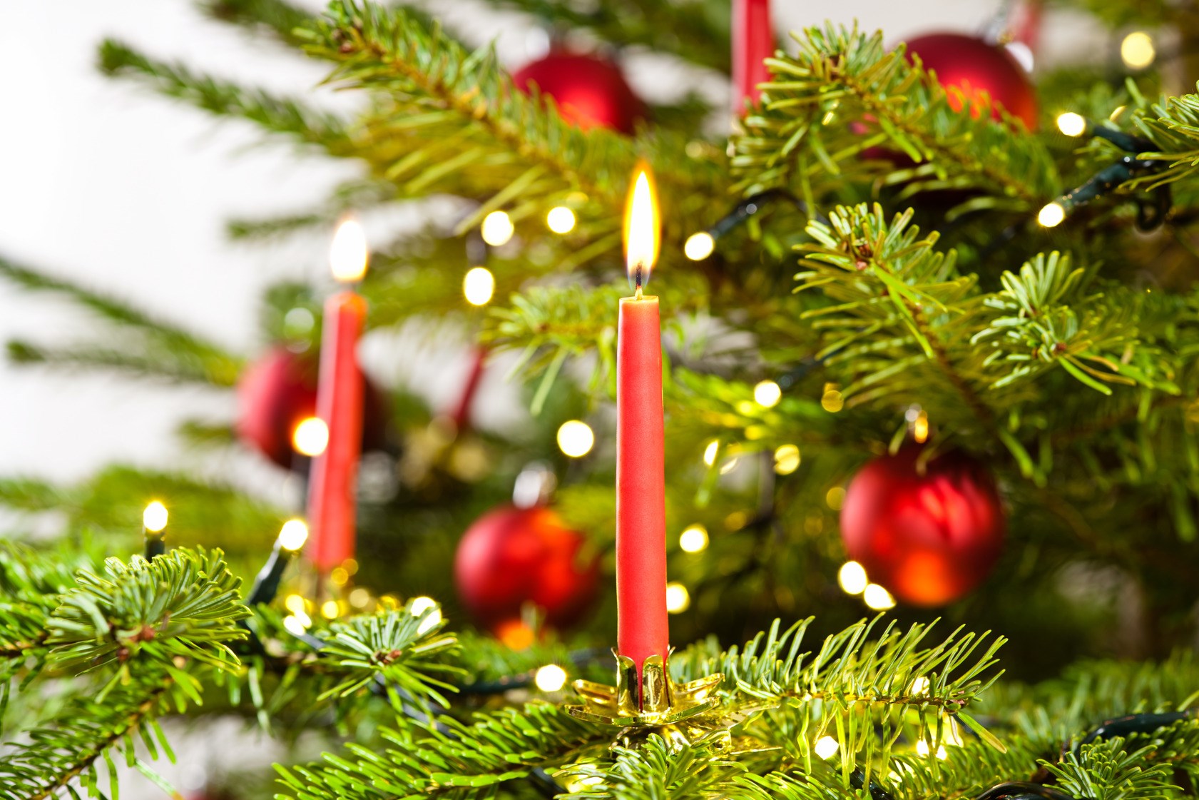 Red candle in christmas tree