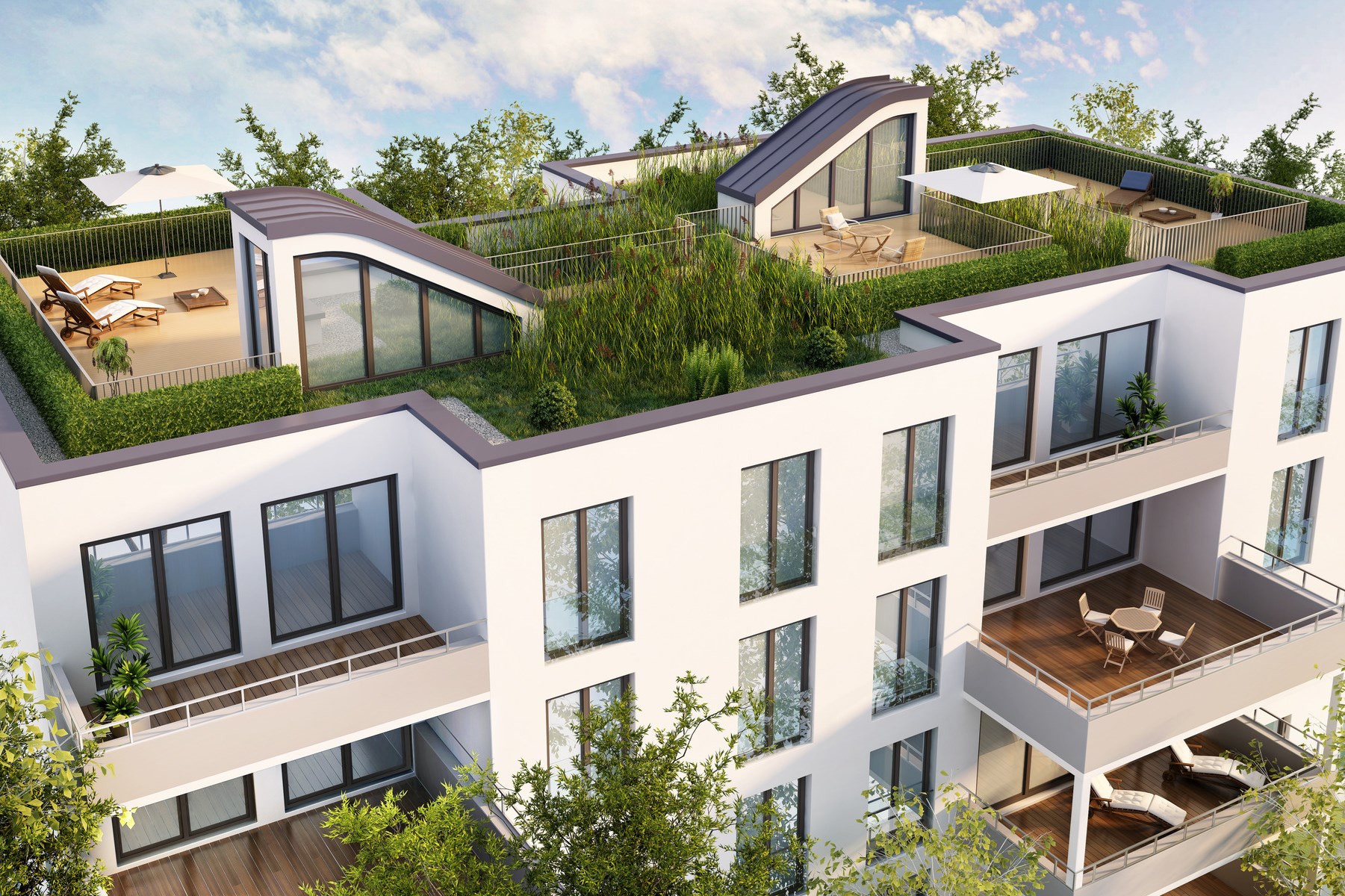 Modern house with roof garden