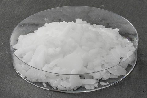 Petri dish with white material of trimethylolpropane Scopeblue