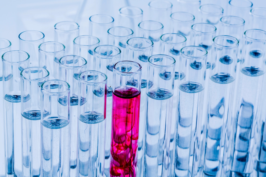 Many test tubes during an experiment in a research laboratory at a university. Symbol photo for learning and research.