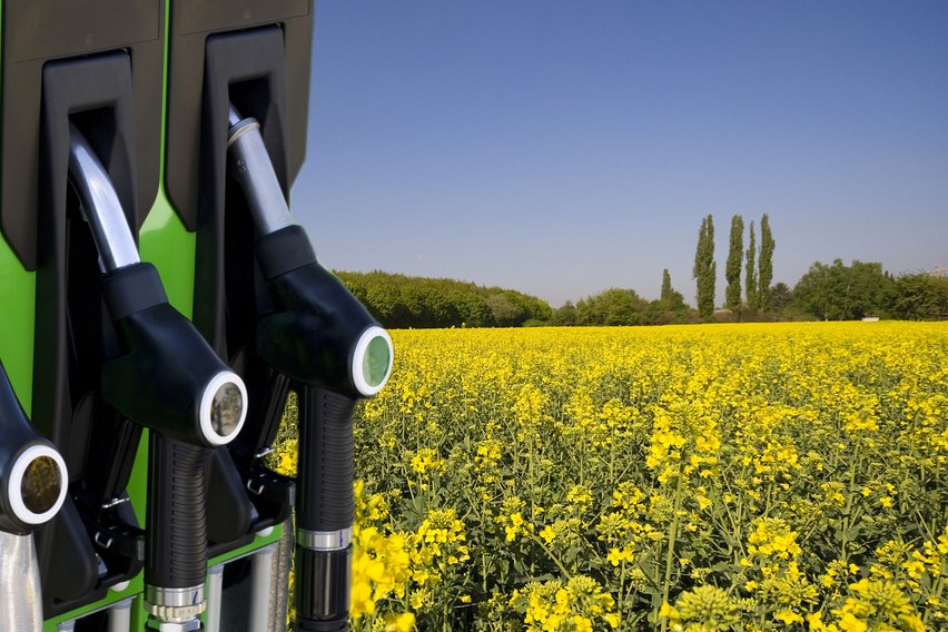 Bild von einer Biodieselzapfsäule mit Naturhintergrund.