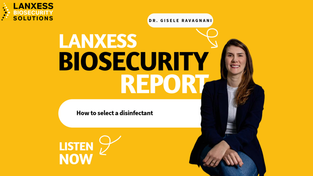 LBS & Swineweb: Podcast with Gisele Ravagnani