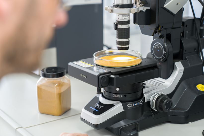 Quality control of yellow iron oxide pigments in the laboratory
