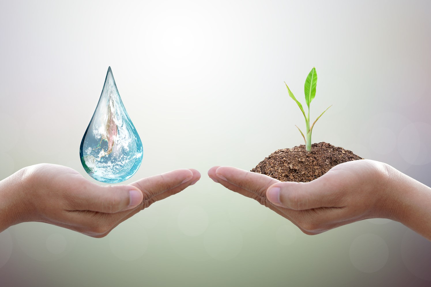 World Water Day Hands waiting for the world in water drop shape on background blurred flowers and sky with the light of the sun. Elements of this image furnished by NASA.