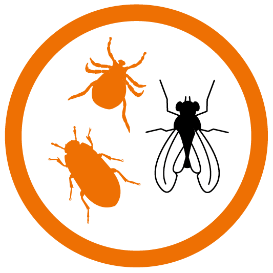 Highly effective against red mites, litter beetles and flies icon (Mefisto Shock)