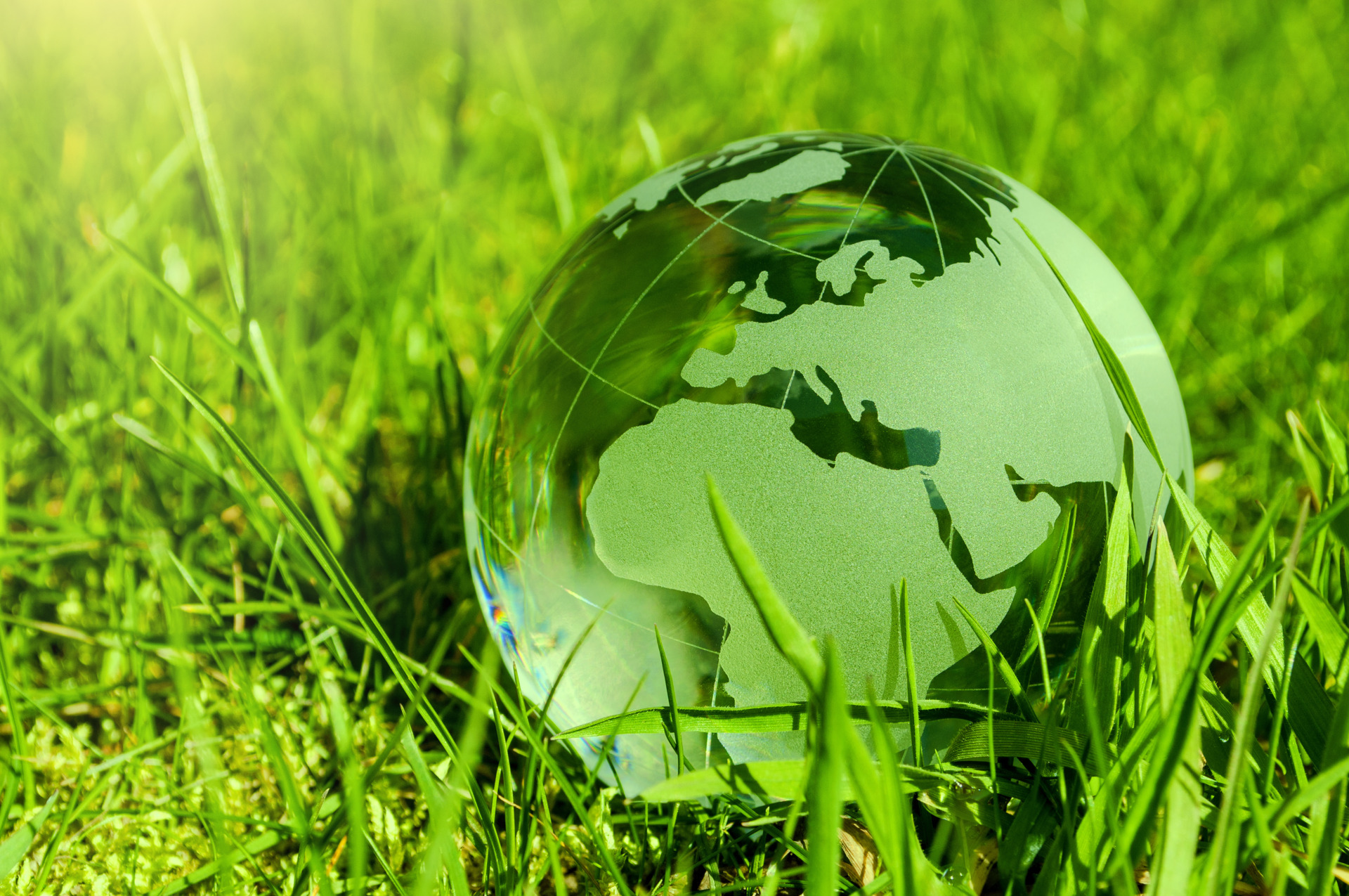 Glass globe on meadow