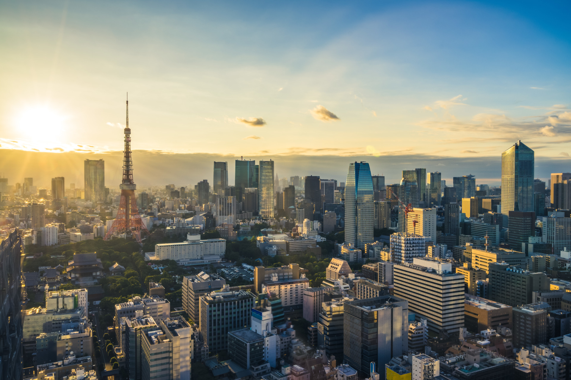 aerial view of Tokyo city, Japan