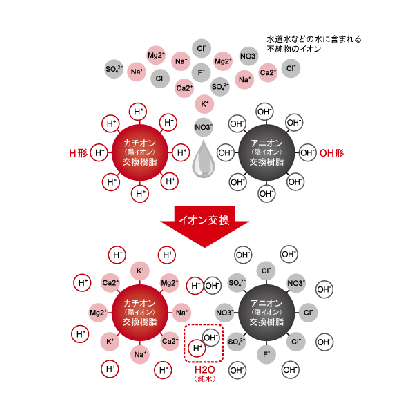 Principle of ion exchange <Impurity ions in tap water> Calcium ions (Ca2⁺), magnesium ions (Mg2⁺), potassium ions (K⁺), sodium ions (Na⁺), chloride ions (Cl-), sulphate ions (SO₄²-), Nitrate ions (NO3-), etc.