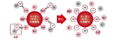 Image to explain the regeneration of cation exchange resins (cation exchange resins)
When hydrochloric acid (HCl) flows through a cation exchange resin that has become in impurity ion form, the H⁺ and impurity ions are exchanged and the resin is regenerated.