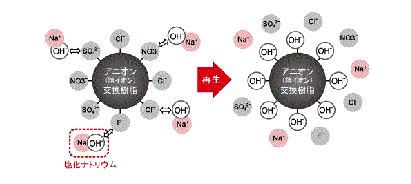 Regeneration of anion exchange resins 
Anion exchange resins are regenerated by the exchange of OH- and impurity ions by flowing sodium hydroxide (NaOH).