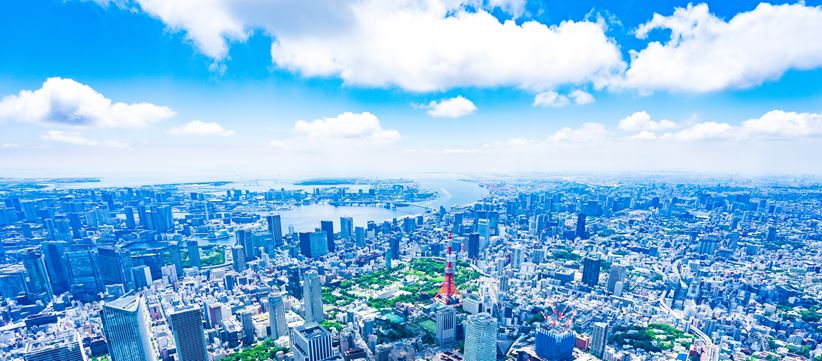 Tokyo aerial view