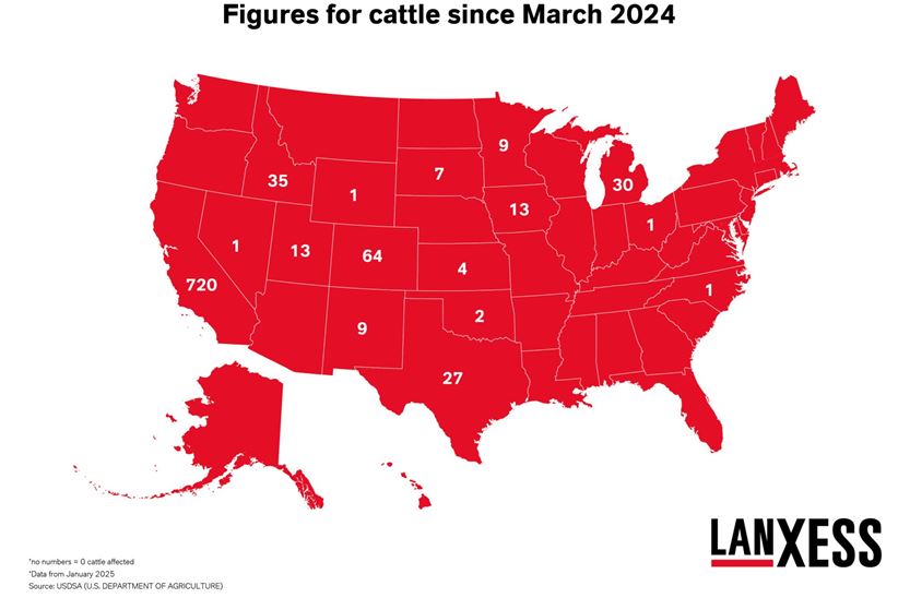 Figures for cattle since March 2024