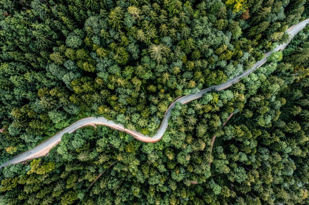 Gegenlicht eines fahrenden Autos auf einer kurvigen Straße als Langzeitbelichtung von einer Drohne, die einen Ausflug in einen grünen Sommerwald am Abend macht.