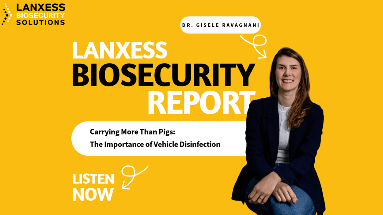 LBS & Swineweb: Podcast with Gisele Ravagnani