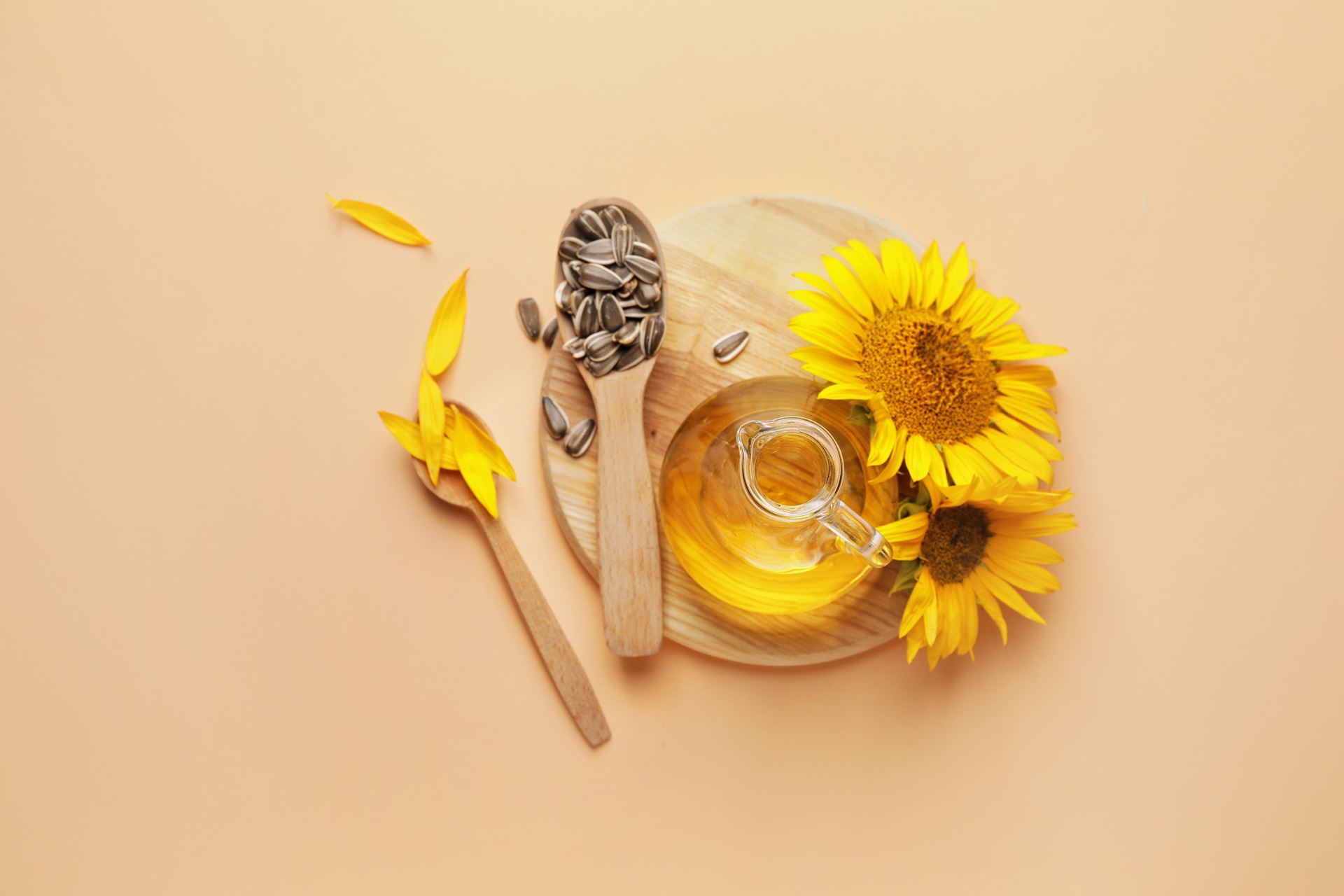 Composition with sunflower oil and seeds on color background