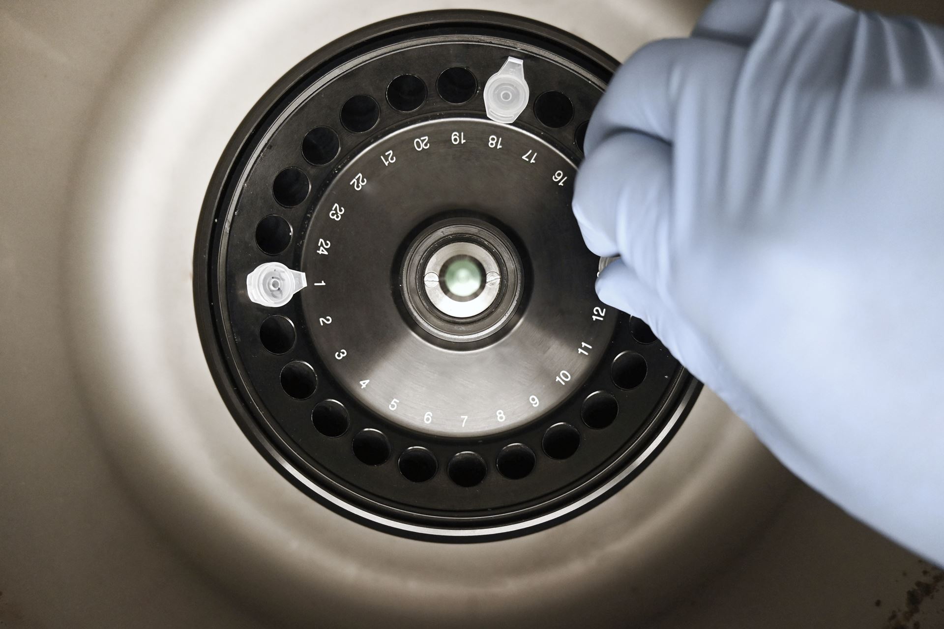 Overhead shot of researcher&amp;#39;s hand placing tube in laboratory centrifuge