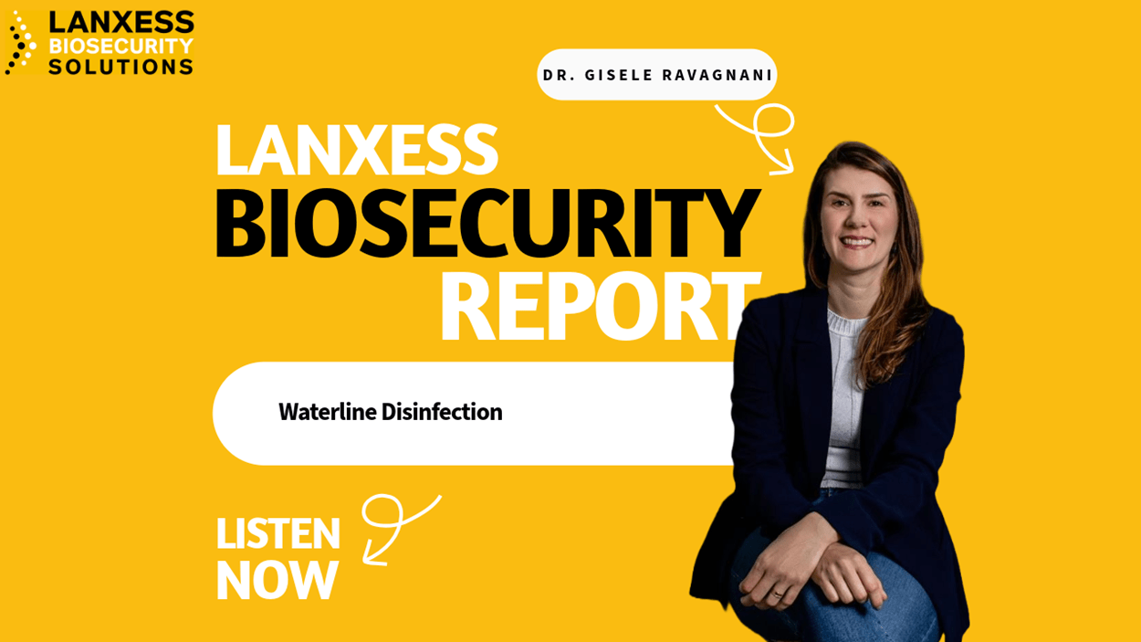 LBS & SwineWeb: Podcast with Gisele Ravagnani